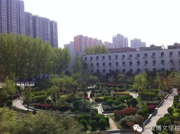 陜西鍋爐專用油