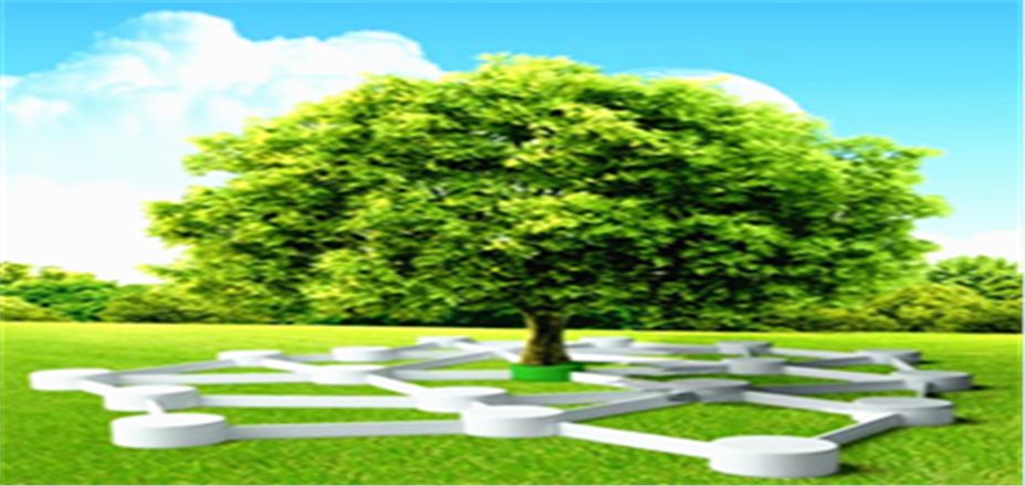 西安恒星新能源開發(fā)有限公司春節(jié)放假通知