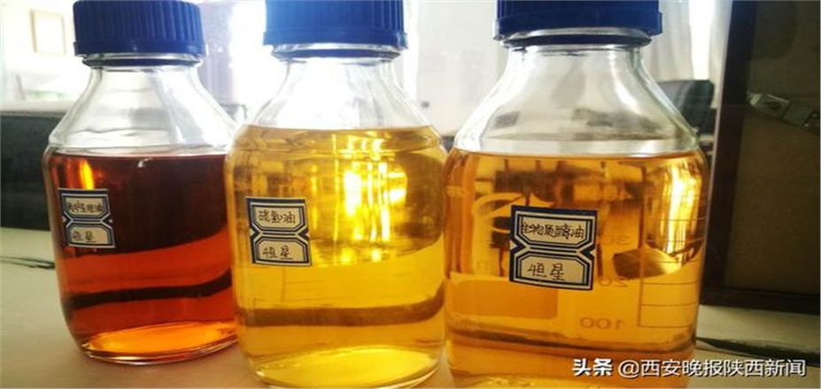 民盟西安市委機關(guān)、民盟西安市委部分企業(yè)家走進—西安恒星新能源開發(fā)有限公司